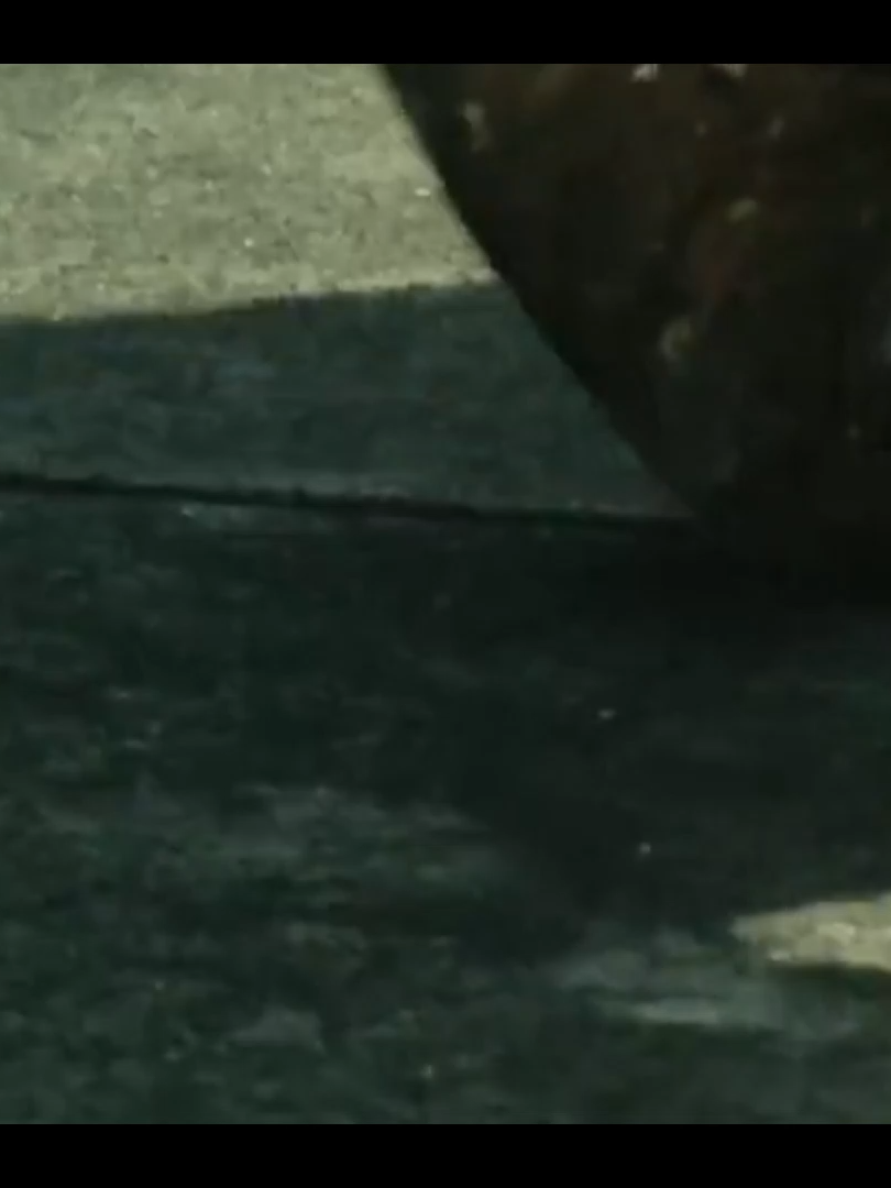 KAMEN RIDER BLACK EPS 48 PART 12 #kamenriderblack #kamenrider #nostalgia90 #ksatriabajahitam #ksatriabajahitamrx #fyp #kotarominami #battlehopper #belalangtempur #4u #fyp #xybca #foryou #foryoupage