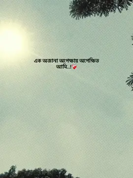 এক অজানা অপেক্ষায় অপেক্ষিত আমি..!❤️‍🩹#foryou #foryoupage #viral #fyp #viralvideo 