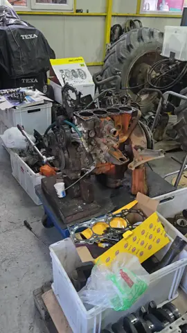 #@Costel Danila Respectati va lucrand curat ! #fyp #nissan #volkswagen #audi 0762635901