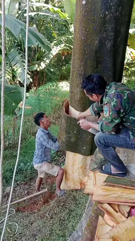 mùng 1 làm cây khởi động 220 vanh#xuhuong 