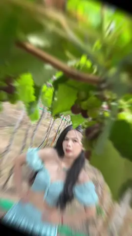 Nắng lên cho má em hồng, cho môi e đỏ, cho Nho🍇 e đen☀️🌞☀️🌞tại #VƯỜNNHO85 #thamquanmienphi #dulichsinhthai #nhotuhai #VƯỜNNHO85 Thái An