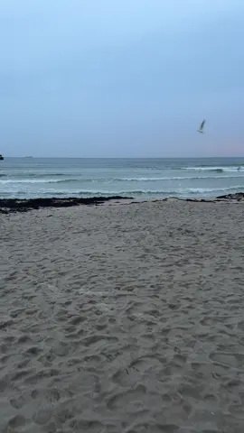 Schönen guten Morgen ☕️heute etwas Regen ☔️ 