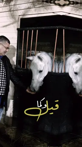 #إن_الله_وملائكته_يصلون_على_النبي #وافوض_امري_الى_الله_ان_الله_بصير_بالعباد 