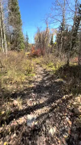 When you say it like that haha #trail #trailrunning #runningcommunity #runner 