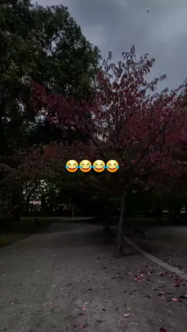 #الشعب_الصيني_ماله_حل😂😂   #لايك_متابعه_اكسبلور 