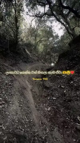 ලංකාවේ නැති ඒවා ❤️😫🫶  #tenere700 #bike #viraltiktok #srilanka #viralvideo 