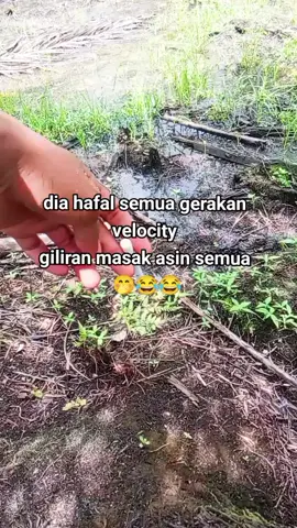 dia faham gerakan semua 😂