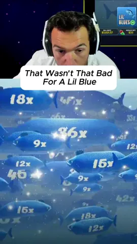 blues on top #fishgame #fishing #kickstreaming #bigfish #bluefish 