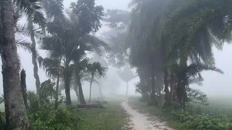 বহু বছর পর নরম হাওয়ার রাতে মনে পড়বে গত হাওয়ার শীতে আমি তোমার ছিলাম 😊❤️‍🩹#rs_raju#foryou #foryoupage #fyp #viral 
