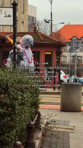 #попадемврекомендации #цаца