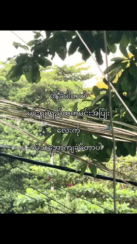 #fypシ゚viral🖤tiktok☆♡🦋myvideo #fypシ゚viral🖤tiktok☆♡🦋myvideo #စာတို💯 #viralvideo 