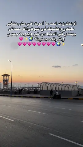 وعد💗🌍✨#حب #رومنسي #الحب_الاول #اكسبلورexplore #الرتش_فى_زمه_الله💔 