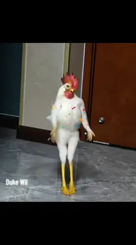 “Este gallo se cansó de cantar al amanecer… ahora solo quiere romperla en la pista 💃🐓🎶 #soydukewil 