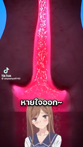 เบาเสียงหน่อยนะ#สาระดีๆ #ความคิด#ความรู้รอบตัว