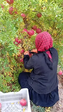 #keşfet #keşfet #keşfet #keşfet #keşfet 