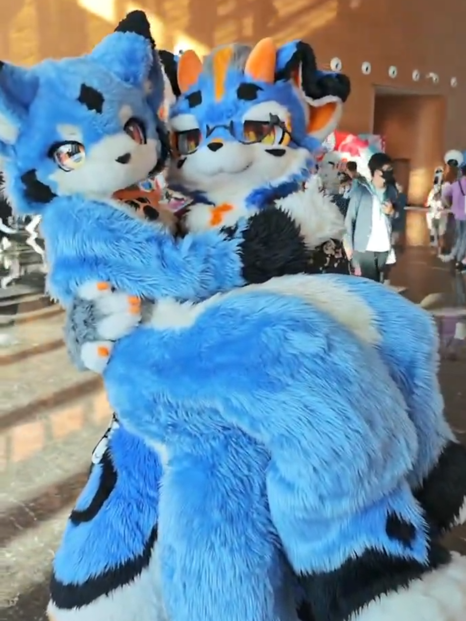 💙💙 เคดิต Twitter cr:@// Ruyuekisargi #kemonofursuit #kemonofurry #fursuit #furry #furrycommunity 