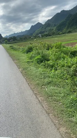 Thời tiết se se lạnh thich gê 🤭🤭🤭#28hoabinhxinchao❤️ 