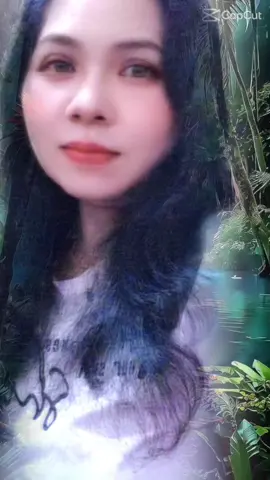 #Burung nuri terbang jauh di awan,,mana mungkin dia kembali lagi