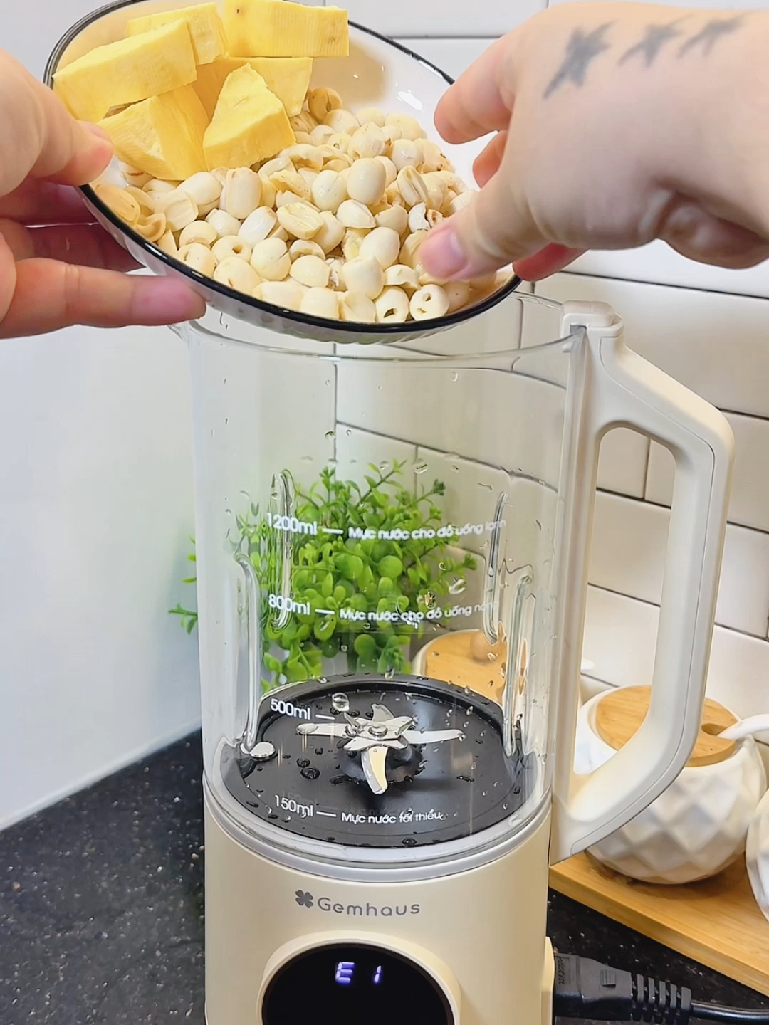 Thay đổi một thói quen chưa bao giờ là dễ dàng vậy thì hãy để Gemhaus làm điều đó giúp bạn nha.21.10.2025#viral #tiktokmademebuyit #gemhausvn #gemhaus #fyp #healthyfoods #maylamsuahat #maylamsuahatdanang #tràct