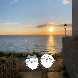 more than friends? #xhhhhhhhhhhhhhhhhhhhhhhh #xuhuong #xuhuongtiktok #hachiware #chiikawa 