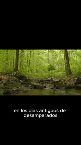 #fyp #leyendas #terror