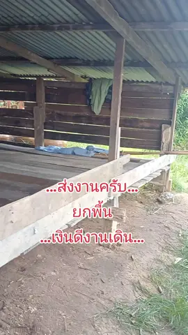 ส่งงานครับผม #คนขยันยุที่ไหนก้อเหนื่อย##เอามาแก้เอามาแก้##เอ้าจ้วดบาดนิพี่น้อง 