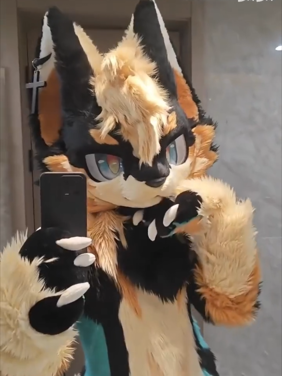 so cool 😎🐺🔥 เคดิต bilibili cr:@阿凌凌Arin #kemonofurry #kemonofursuit #furrycommunity #fursuit #furryfandom 