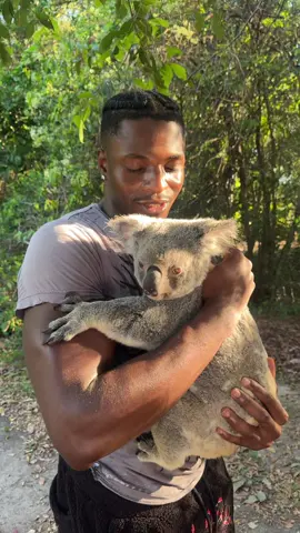 hello ma ma ma #australiazoo #brisbane 