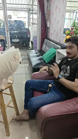 #ฟ้อง  น้องมาลีขี้ฟ้อง😜😜😜