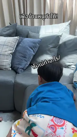 2ขวบขยันเว่อ! #ต้าวแฝดโซลโมเน่ 