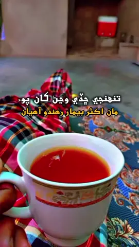 ReposT:اميد آھي تہ منھنجي محبت جو بار تنھنجي ذھن مٿان ھماليہ جي پھاڙ وانگر توکي محسوس ٿيندو اوووو ساھ من💔🙃🐣🌸🙏🏻☕ #sanammarvi #sindhistatus #sindhisong #assaah #foryou 
