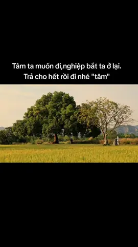 #ADiDaPhat  #Đạo #Đời 