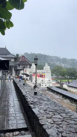 ගැලපෙන්නෙ නැත්නම් අයිම් කරන්න.. 🖤#srilankan_tik_tok🇱🇰 #dubai🇦🇪 #❤️ #fly #brokenheart 