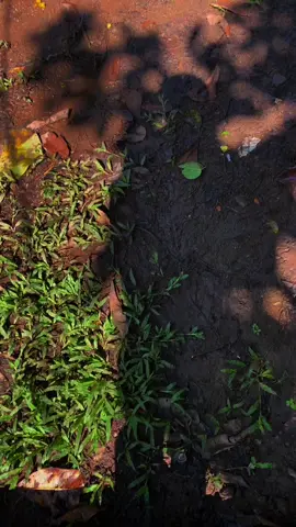 Kalo kesini gk ada kata bosen🫶#fyp #fypage #curupgangsawaykanan #lampung 