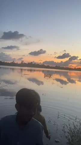 Mùa nước nổi quê em#longan_62 