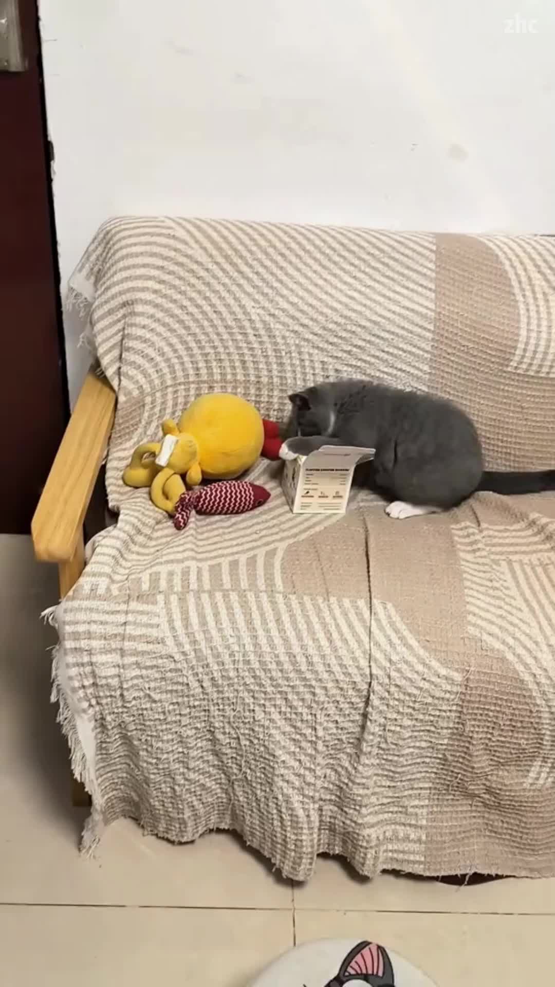 แนะนำของดี 