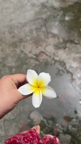 একটু জানা কাহিনী কিছু কিছু অজানা❤️ . . . . . . . . . . . . #farihajannatesha #foryoupage #viral #rain #flowers @TikTok Bangladesh @TikTok 