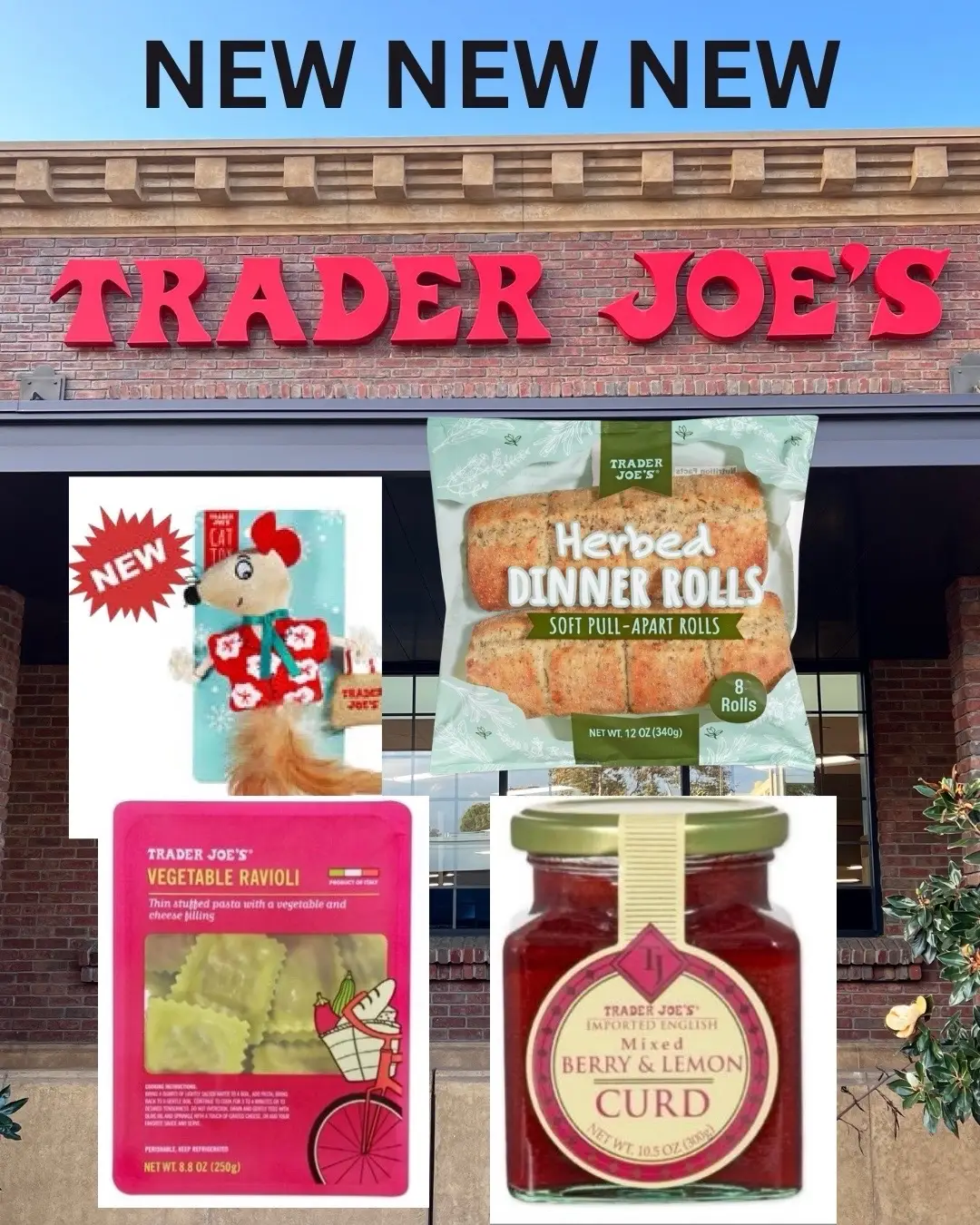#traderjoes #new