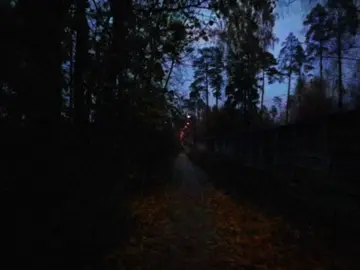 валентин стрыкало - рустем [ #рек #щп #валентинстрыкало #рустем #осень ]