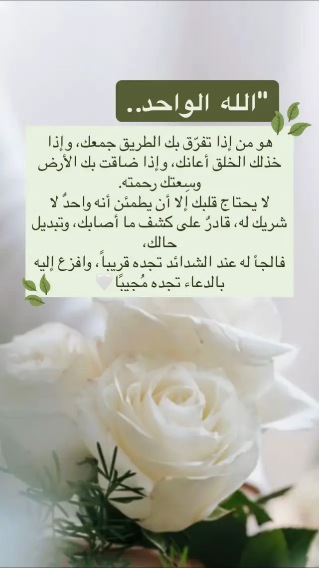 #الله #اكسبلور #explore #الشعب_الصيني_ماله_حل😂😂 #اللهم_صلي_على_نبينا_محمد 