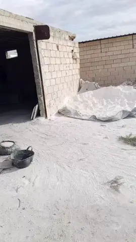 #comedie_humour😭😭🤣🤣😅😅😅😅😭😭🤣🤣😭😭 #Loay_cr7 #ادلبي #مالي_خلق_احط_هاشتاقات🧢 