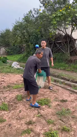 Lồng lưới bát quái 