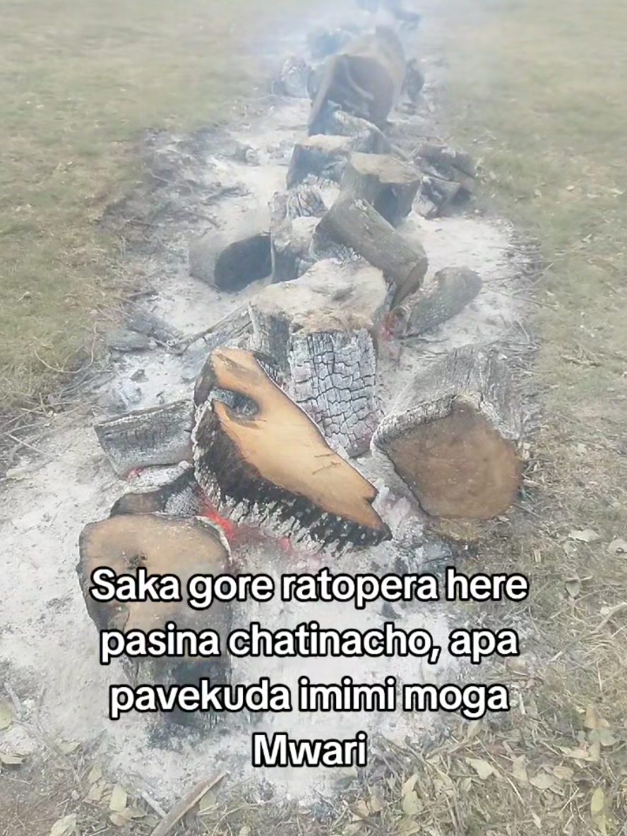 Replying to @khumbulanishonhiw0 #Hossana tinenhamo baba titumireiwo ngirozi dzizotinunura #fyyp  #goviral  #trendingvideo  #zimsatiktok🇿🇼🇿🇦 