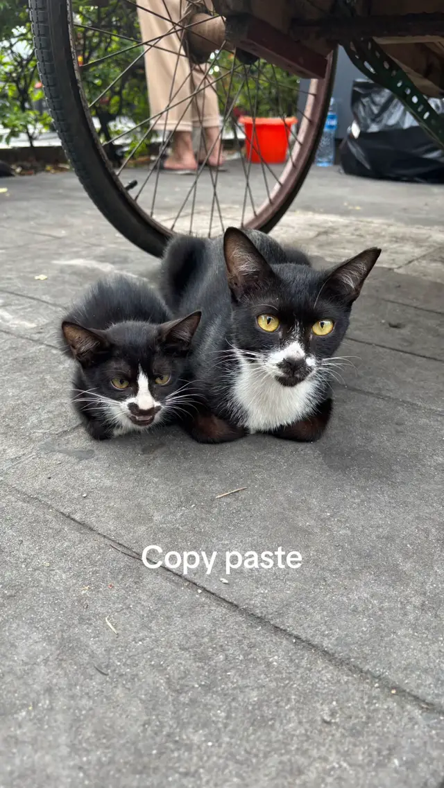 Fix anaknya, ga perlu tes DNA🤣