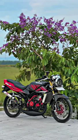 merah merona 🫦 #4u #xybca #ninjass #finracingexhaust 