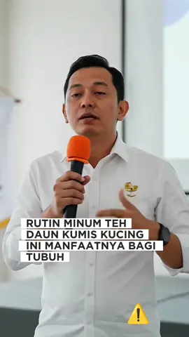 banyak yang belum tau khasiat rutin minum teh daun kumis kucing.. #daunkumiskucing #tehdaunkumiskucing #herbalalami #sehatselalu #tipssehat 