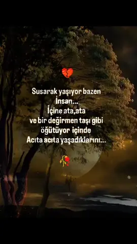 #keşfetteyizzz #kesfetteyiz #kesfet 