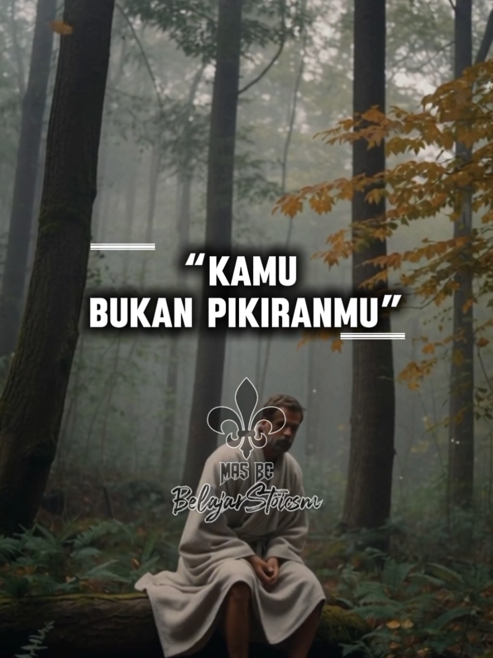 #Stoikisme #BelajarStoic #filsafatstoikisme #jalanstoic #fyp 