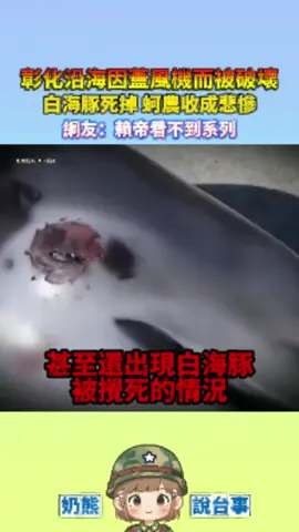 彰化沿海因蓋風機而被破壞柯農收成悲慘綠營愛鄉土原來是愛挖土#彰化#綠營#奶熊說台事#鄉土#台灣  