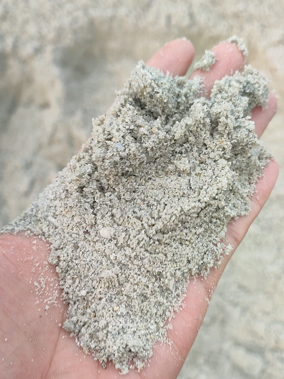 pasir Bangka tanpa batu, langsung dari tongkang  wa 087809922269 #galianbojonegara #pasribangka #bojonegara #fyp #batusplitbojonegara 